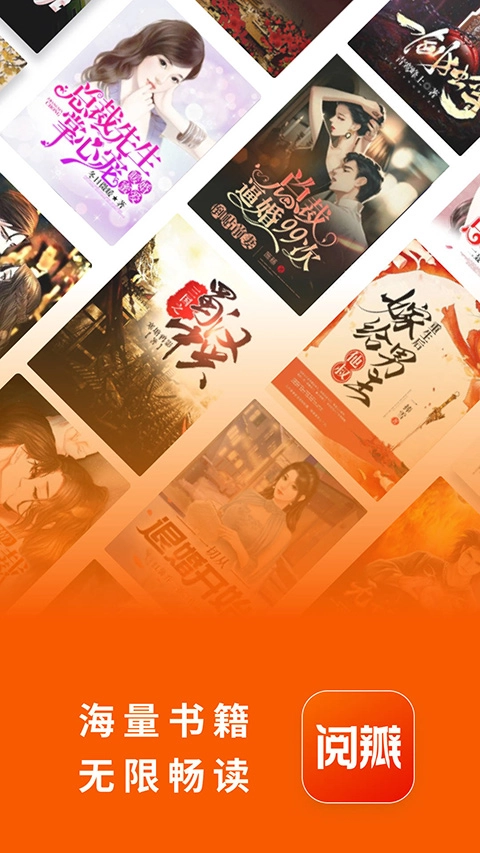 阅瓣小说直装版图3