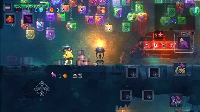 重生细胞国际服图2