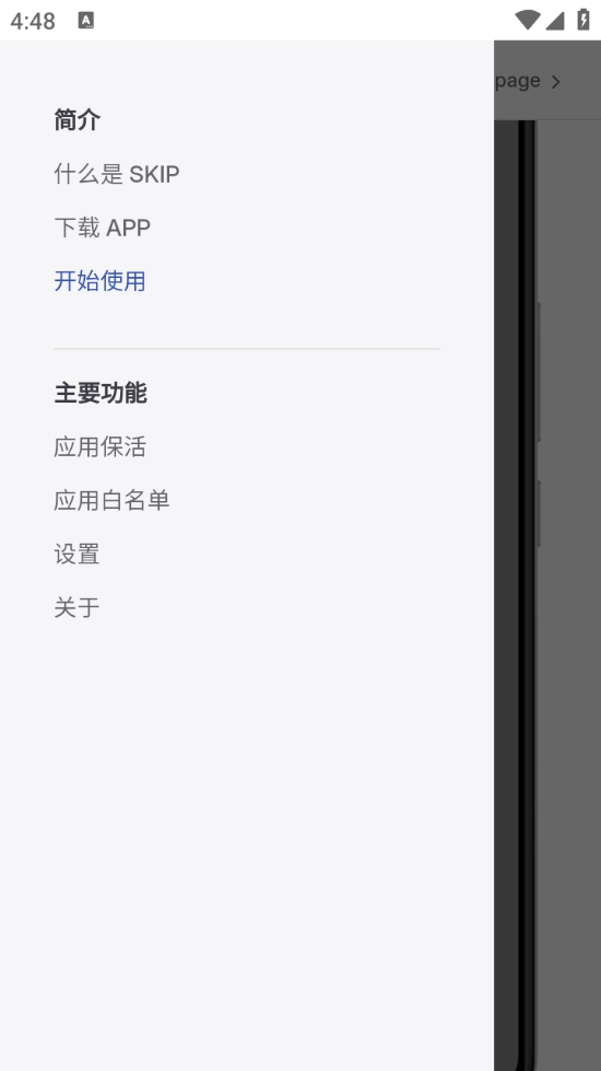 SKIP图3