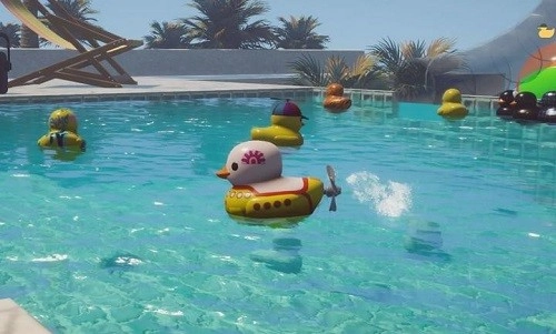 小黄鸭模拟器图1