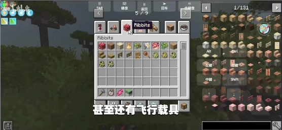 我的世界自然之旅3(1)