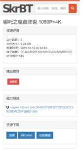skrbt引擎浏览器手机版图2