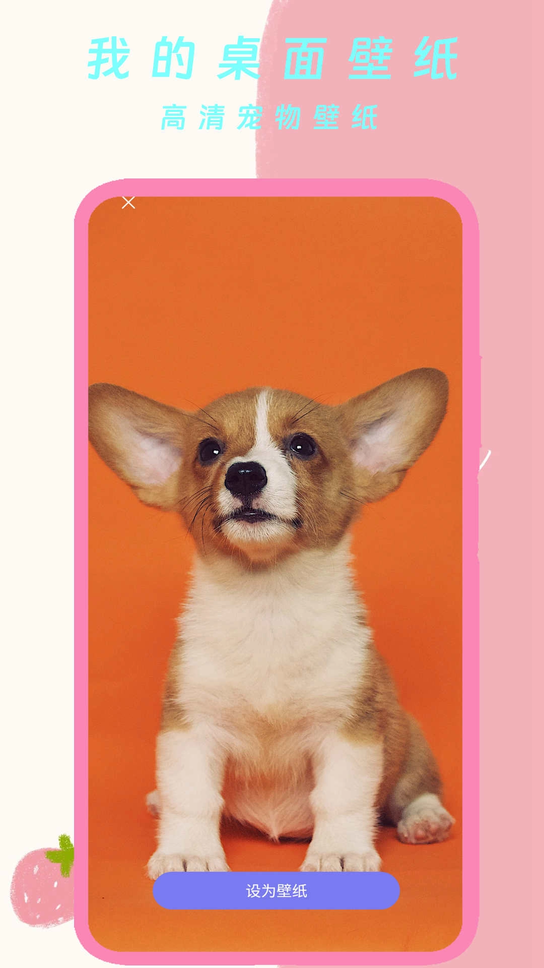 我的桌面壁纸截图1