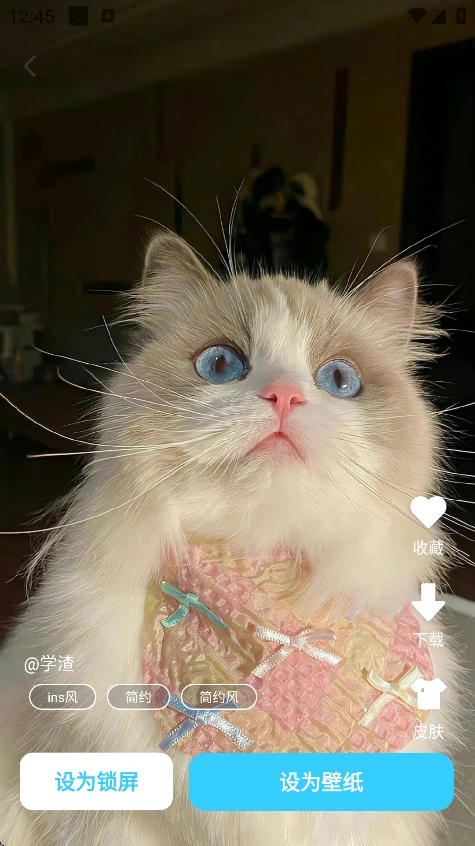 万能主题组件图2