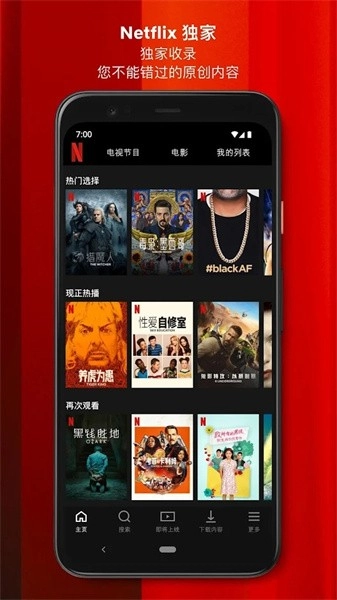 NETFLIX中文版图1