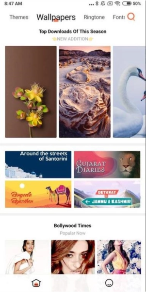 小米主题壁纸最新安卓版(4)