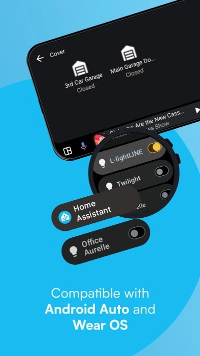 HomeAssistant最新端-full(3)