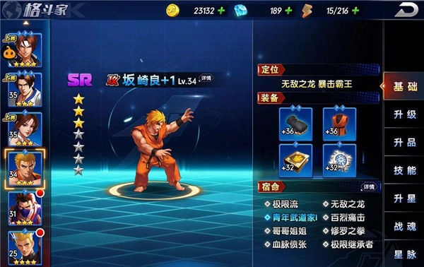 拳魂觉醒图片