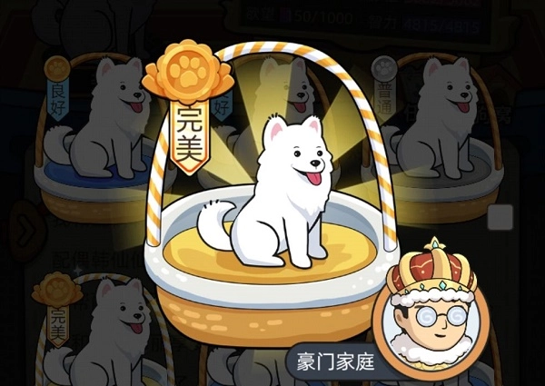 狗生模拟器富人区的进入方法分享