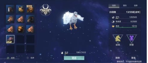 妄想山海白翎雕的捕捉位置在哪里