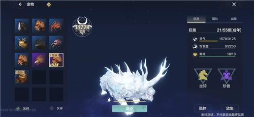 《妄想山海百年巨兽捕捉方法全解析，教你怎么抓巨兽》