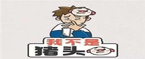 怎样通关我不是猪头第206关？最好玩的益智类游戏有哪些关卡攻略？