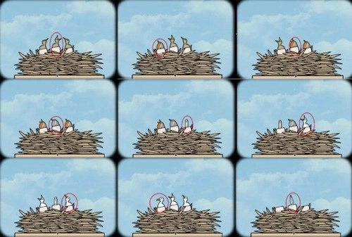 《轮回的房间重制版第5关：送子鸟速通方法图文攻略详解》