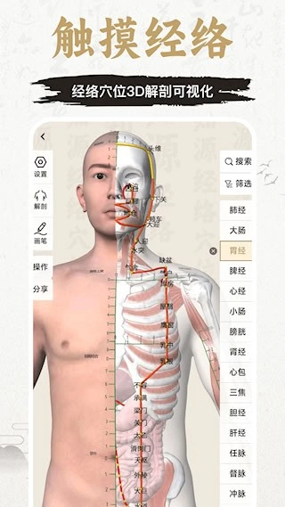 知源经络穴位安卓版(2)