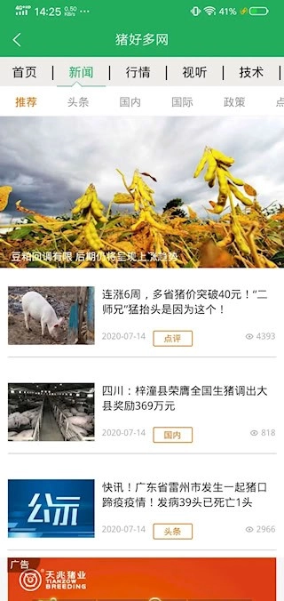 猪好多安卓版