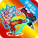 口袋妖怪心金正版