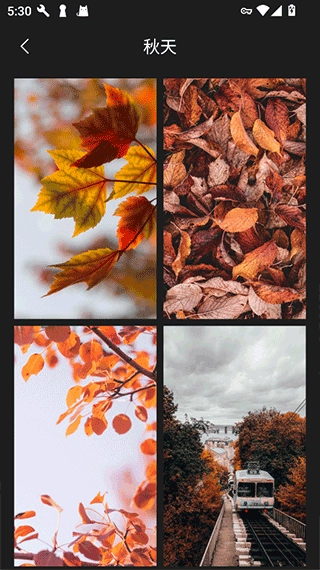 口袋免费壁纸免费版(3)