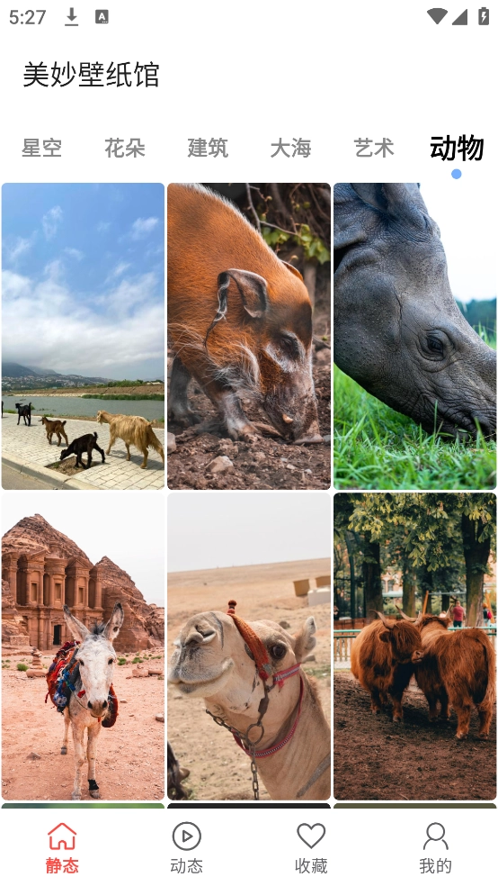 美妙壁纸馆安卓版(2)