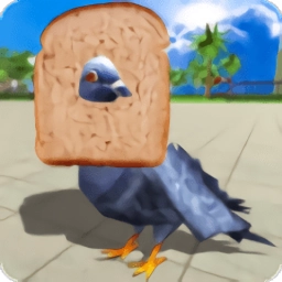 鸽子鸟模拟器游戏