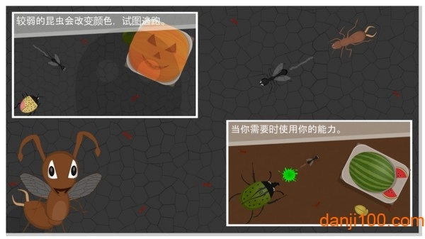 蚂蚁进化世界游戏图3