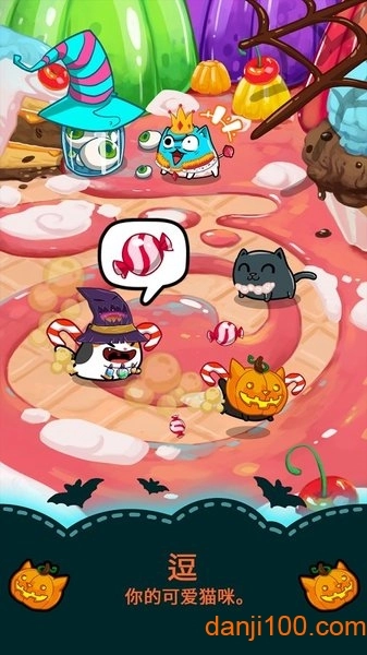 花样猫最新版图1