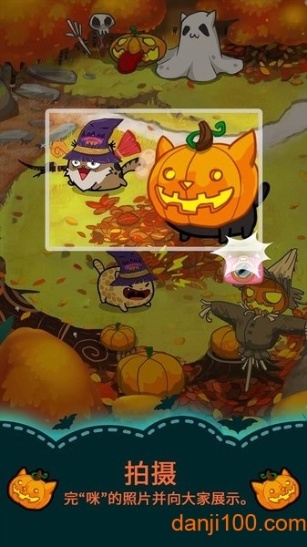 花样猫最新版图2