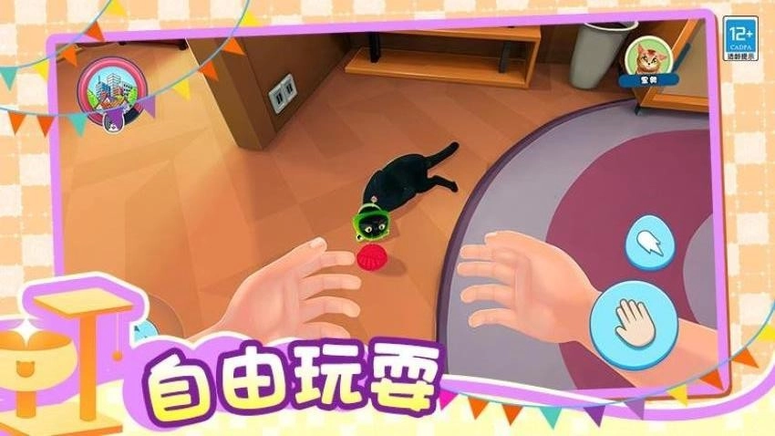 小小猫之家游戏