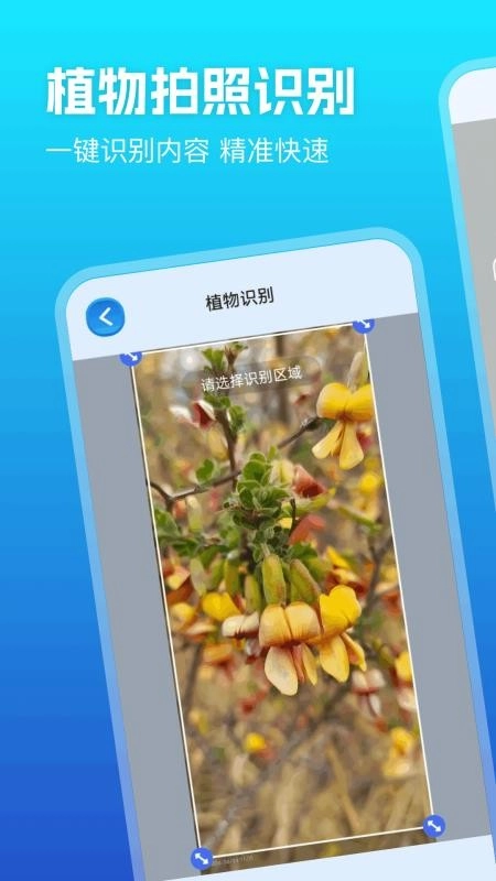 优记扫描助手图3