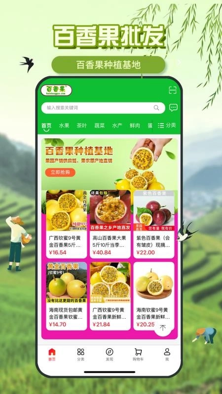 百香果本图3