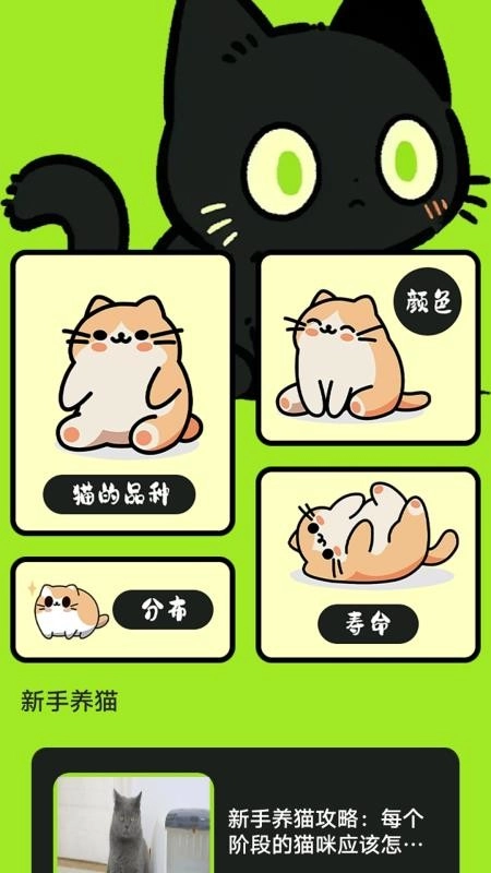 村庄叮叮猫-图4