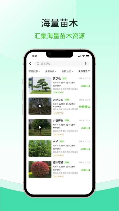 购苗木(4)