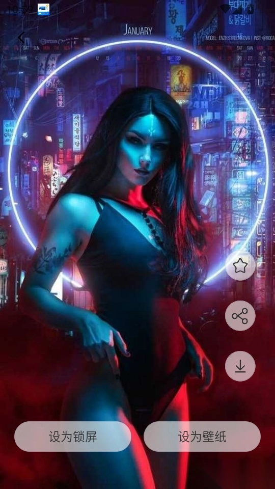 组件岛精灵官网版