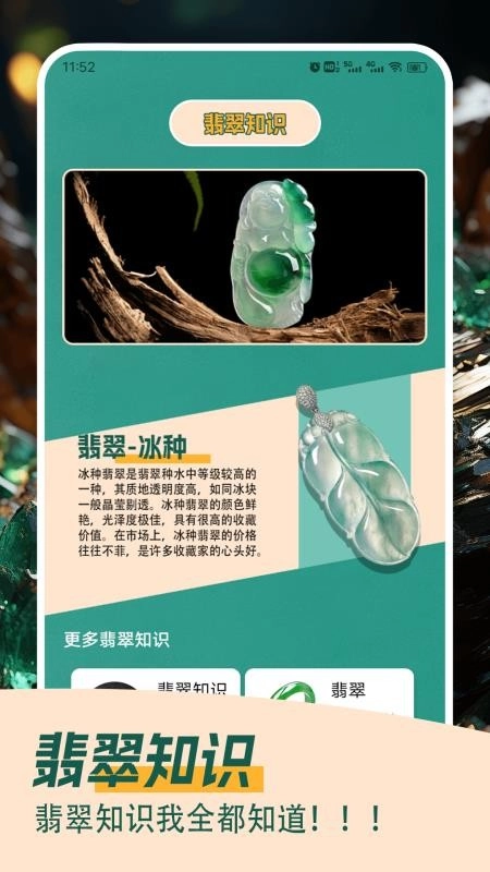 翡翠大王急速版(2)