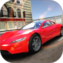 疯狂赛车手3D游戏