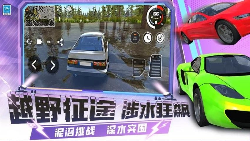 疯狂赛车手3D游戏