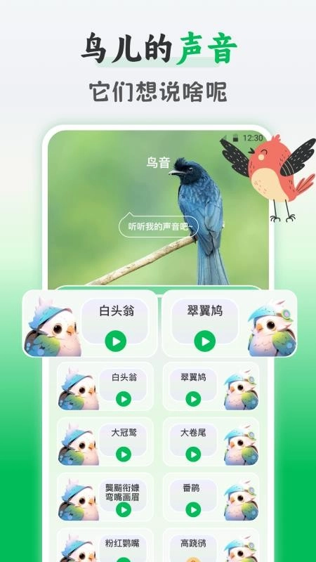鸟语交流器