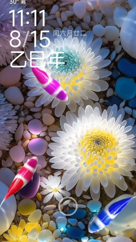 荷花锦鲤壁纸最新版(3)