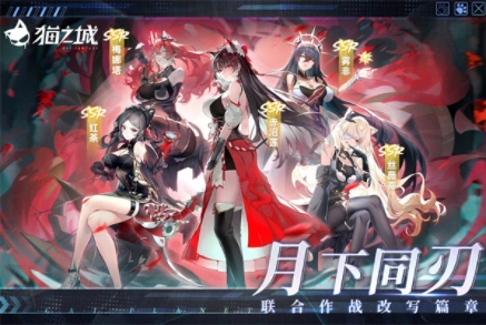 猫之城国际服