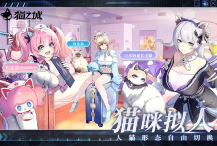 猫之城国际服