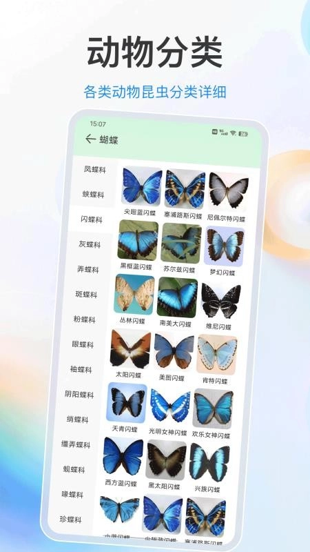 植物君-图3