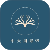 中大国际99