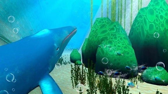 蓝鲸海洋生物模拟3D(1)