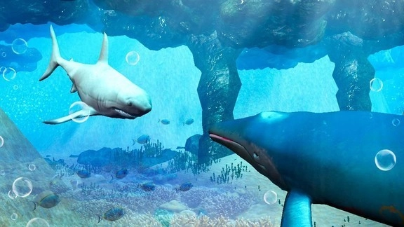 蓝鲸海洋生物模拟3D(2)