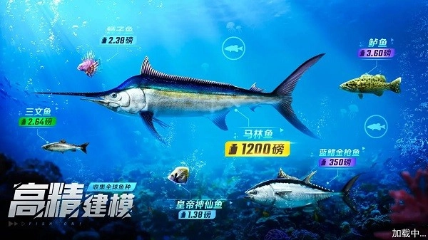 野外钓鱼大师游戏(1)