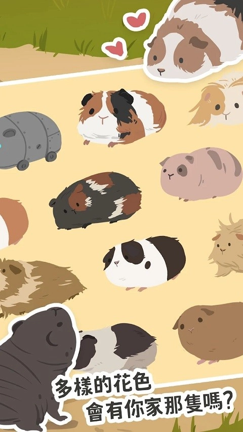 天竺鼠农场游戏图1