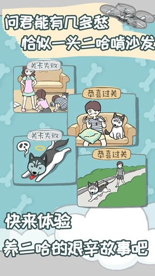 养只二哈不容易游戏最新版图4