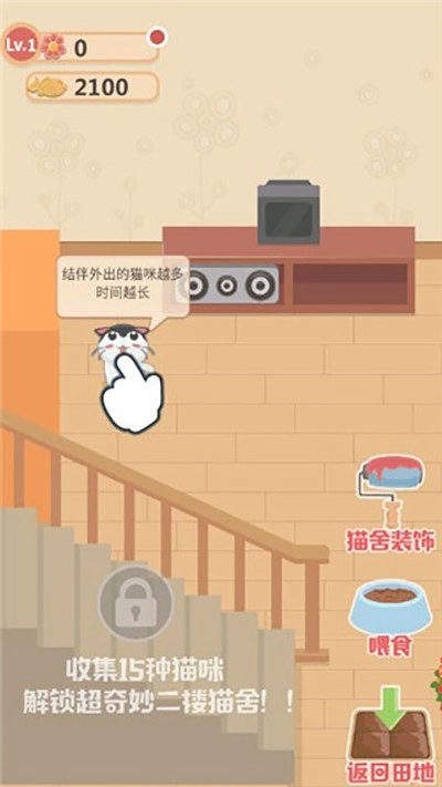 奇妙猫之家游戏-图3