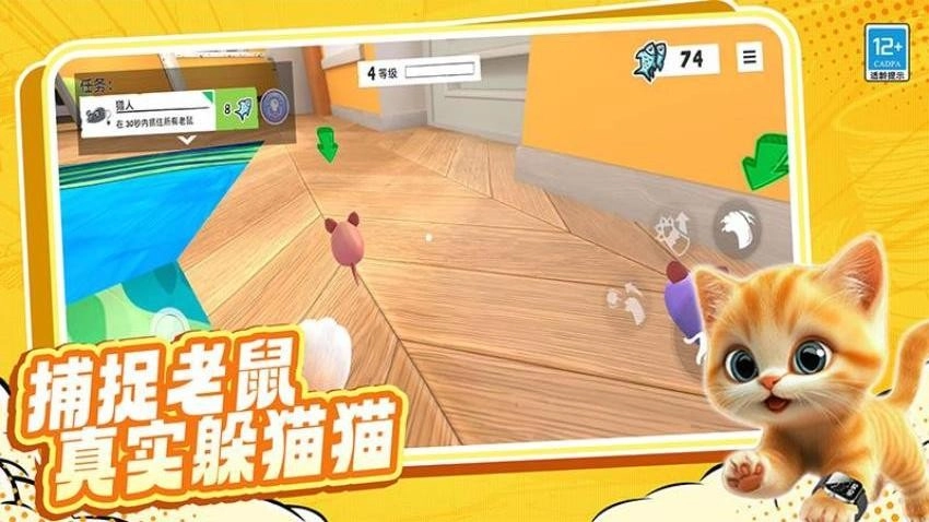 就玩躲猫猫游戏图3