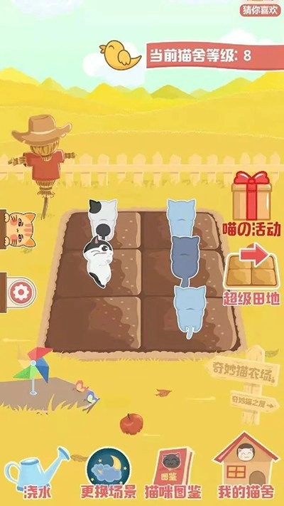 奇妙猫之家游戏-图1