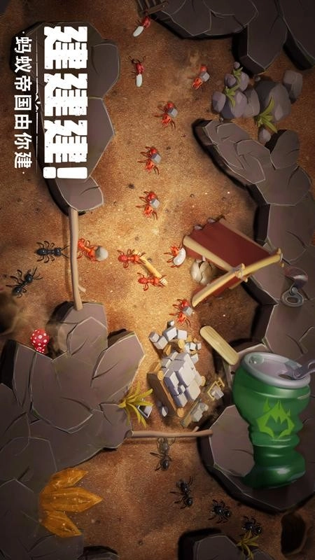 蚁族崛起
